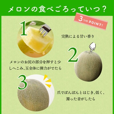 【2026年先行受付】【2026年7月後半発送】青肉 メロン 約 5kg 秀～優 ( 3～6玉 )