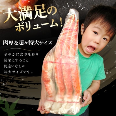 かに 本 タラバガニ 脚 ボイル済 約1kg 極太5Lサイズ [20564323]