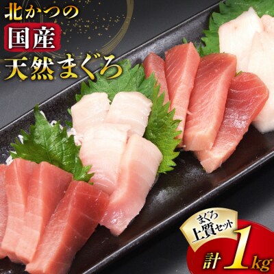 北かつのマグロ上質セット 計1kg [20563511]