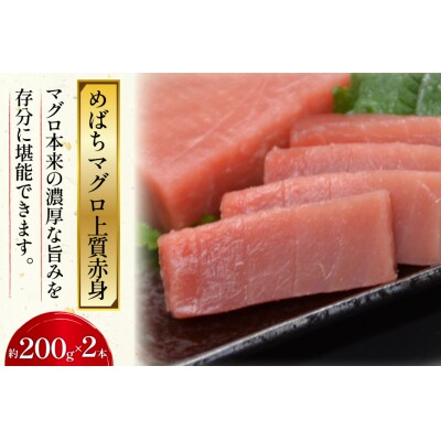 北かつのマグロ上質セット 計1kg [20563511]