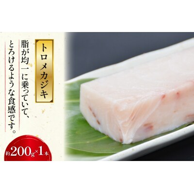 北かつのマグロ上質セット 計1kg [20563511]