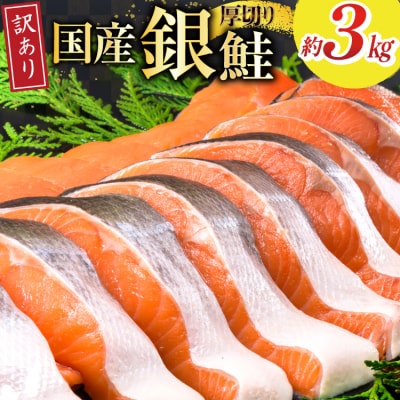 訳あり 国産 減塩 厚切り 塩銀鮭 切身 計 3kg [20565950]