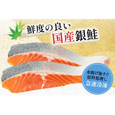 訳あり 国産 減塩 厚切り 塩銀鮭 切身 計 3kg [20565950]