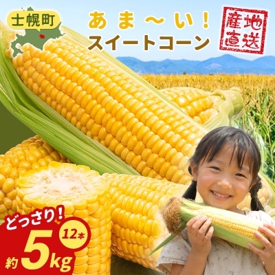 北海道 士幌産 とうもろこし 12本 採れたて スイートコーン 十勝 士幌町【V02】