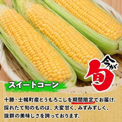 北海道 士幌産 とうもろこし 12本 採れたて スイートコーン 十勝 士幌町【V02】