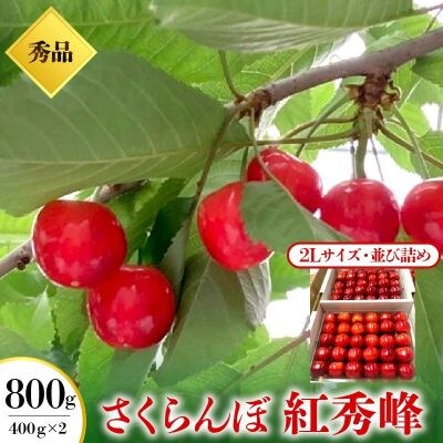 さくらんぼ(紅秀峰)400g×2パック　2L　並び詰め　0049-2605