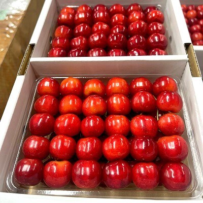 さくらんぼ(紅秀峰)400g×2パック　2L　並び詰め　0049-2605