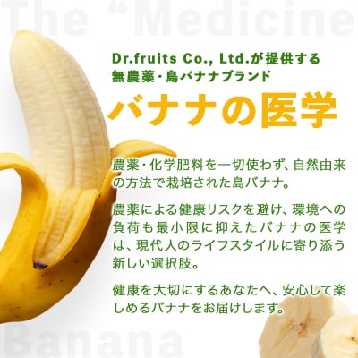 バナナの医学 石垣島産 島バナナ 約1kg 農薬不使用