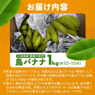 バナナの医学 石垣島産 島バナナ 約1kg 農薬不使用
