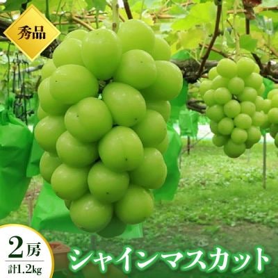 シャインマスカット　2房　合計1.2kg　0049-2607