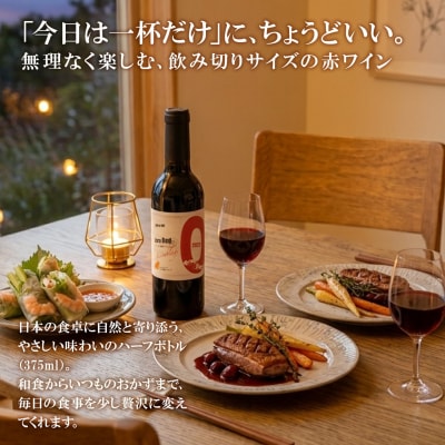 【訳あり】赤ワイン6本セット 375ml 辛口 ハーフボトル ギフト 母の日 父の日 プレゼント 酒