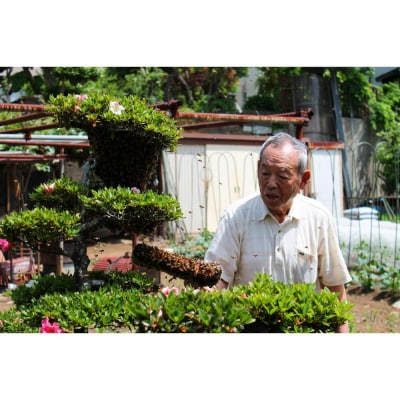 【川崎日航ホテル】かわさき産はちみつのマドレーヌ(10個入り)