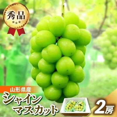 シャインマスカット　2房　合計1.4kg　0049-2608