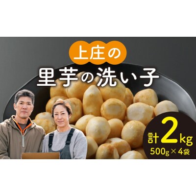 【先行予約】皮むきいらず、煮っ転がしにおすすめ!上庄の里芋の洗い子【冷凍】500g × 4 計2kg