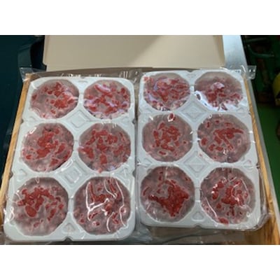 【毎月定期便】愛犬用 エゾシカ肉 ミンチ(250g×4パック)全12回