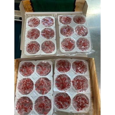 【毎月定期便】愛犬用 エゾシカ肉 ミンチ(250g×4パック)全12回