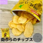 南ふらのチップス(うすしお味)100g×10袋