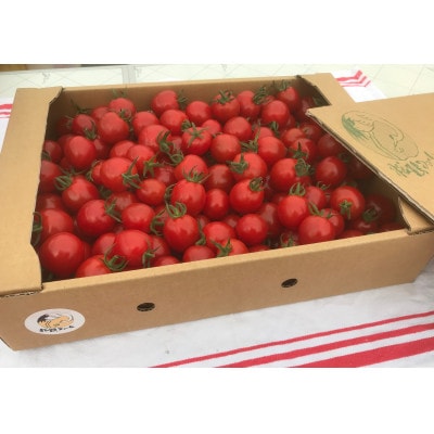 ミニトマト　3kg