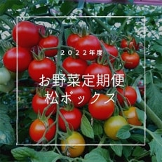 2022年6月発送開始『定期便』北海道産 お野菜定期便「松ボックス」全5回