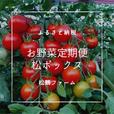 2023年6月発送開始『定期便』松鶴ファームのお野菜定期便「松ボックス」全5回