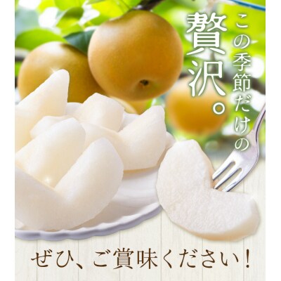 先行予約 旬の梨 梨 約2kg 株式会社エフビーネット《8月上旬-10月下旬頃出荷》熊本県 氷川町 