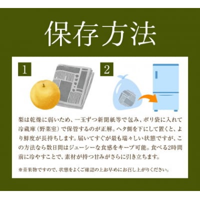 先行予約 旬の梨 梨 約4kg 株式会社エフビーネット《7月上旬-10月下旬頃出荷》熊本県 氷川町 