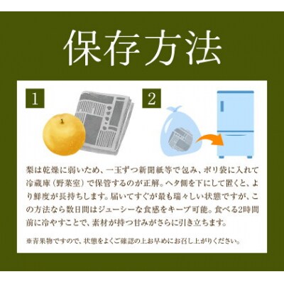 先行予約 旬 梨 フルーツ 豊水梨 約2kg 豊水 株式会社エフビーネット《8月中旬-9月上旬頃出荷