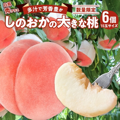 【数量限定】 しのおかの大きな桃(白鳳・秀クラス)[017O01]