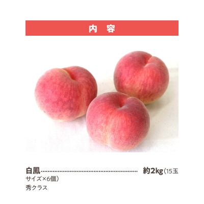 【数量限定】 しのおかの大きな桃(白鳳・秀クラス)[017O01]