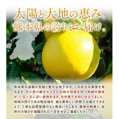 先行予約 晩白柚 約3kg 株式会社エフビーネット《12月上旬-1月下旬頃出荷》熊本県 氷川町 果物