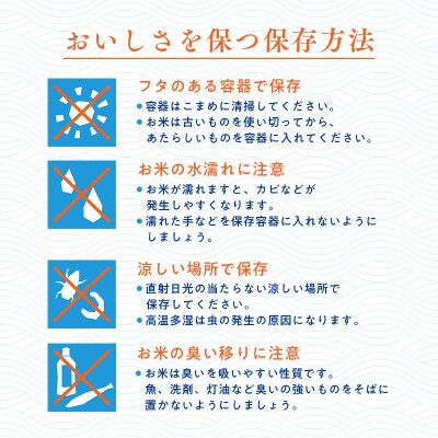 青森県産 はれわたり10kg