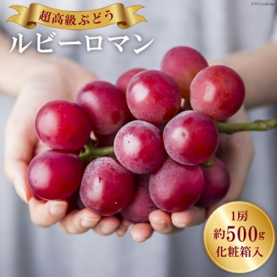超高級 ぶどう ルビーロマン 1房 約500g 化粧箱入 [モアショップヤマモト 38601385]