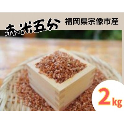 循環型有機肥料で育った赤米五分(もち米)2kg【アグリCATS】_HA1442