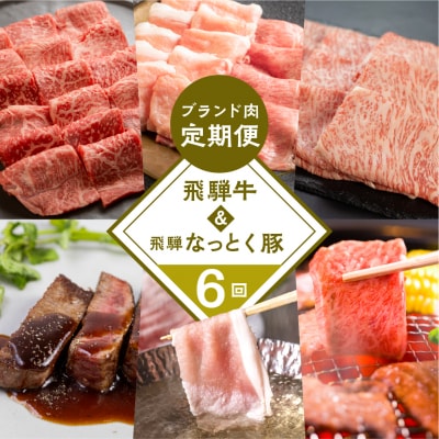 【定期便6回】 飛騨牛 & なっとく豚 ブランド焼肉 豚しゃぶ 赤身 牛肉 豚肉【tc2】