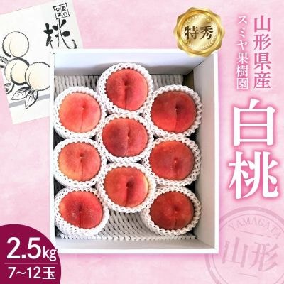 白桃　2.5kg　特秀品　0047-2604