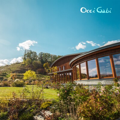 【OcciGabi Winery】オチガビ・シャルドネ黒ラベル_Y012-0095