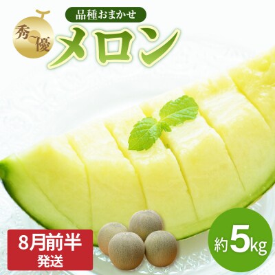 【2026年先行受付】【2026年8月前半発送】青肉 メロン 約 5kg 秀～優 ( 3～6玉 )