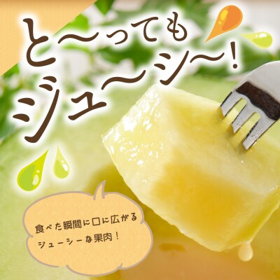 【2026年先行受付】【2026年8月前半発送】青肉 メロン 約 5kg 秀～優 ( 3～6玉 )