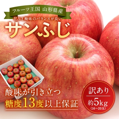 【R9年発送】訳ありだけど糖度13度以上!ご家庭用サンふじりんご5kg_H154(R8)