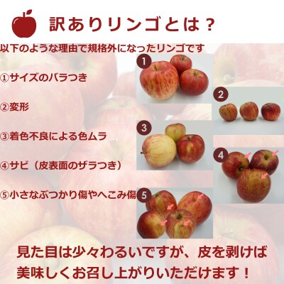 【R9年発送】訳ありだけど糖度13度以上!ご家庭用サンふじりんご5kg_H154(R8)
