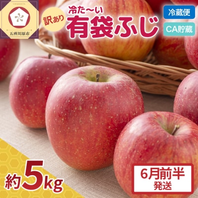 【6月前半発送】りんご ふじ 訳あり 約5kg【有袋栽培 CA貯蔵 クール便 果物 林檎 リンゴ】