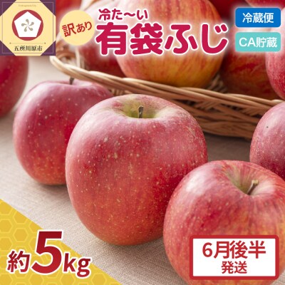 【6月後半発送】りんご ふじ 訳あり 約5kg【有袋栽培 CA貯蔵 クール便 果物 林檎 リンゴ】