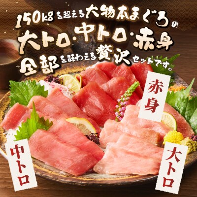 駿河屋賀兵衛　本まぐろ尽くしセット(2人前) [sf067-011]