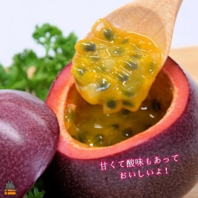《2026年6月～7月配送!》太陽が育てた徳之島産パッションフルーツ(1kg) 