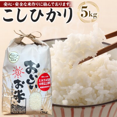 先行予約【令和8年産 新米】こしひかり 5kg(農薬・化学肥料不使用)【BU004】