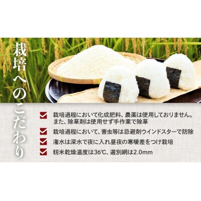 先行予約【令和8年産新米】こしひかり 10kg(農薬・化学肥料不使用)【BU005】