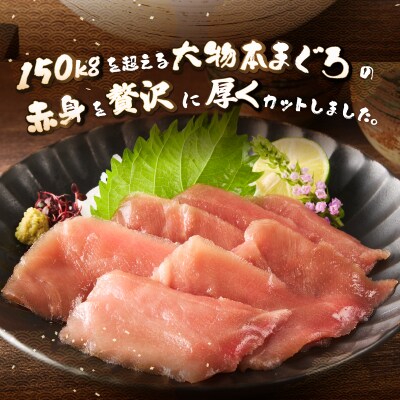 駿河屋賀兵衛　本まぐろ赤身(2人前) [sf067-012]