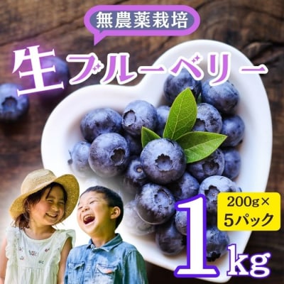 【2026年発送 先行予約】 <生> 完熟 ブルーベリー 姫 1kg 《 2026年7月より発送 》