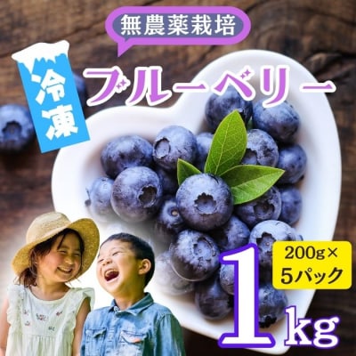 【2026年発送 先行予約】<冷凍> 完熟 ブルーベリー 姫 1kg 《 2026年7月より発送》