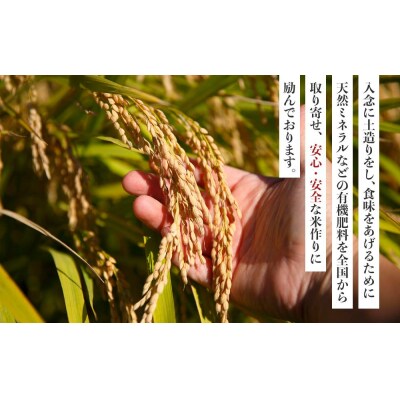 先行予約【令和8年産 新米】ミルキークイーン 5kg(農薬・化学肥料不使用)【BU010】